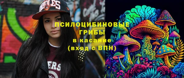 гидра Алзамай