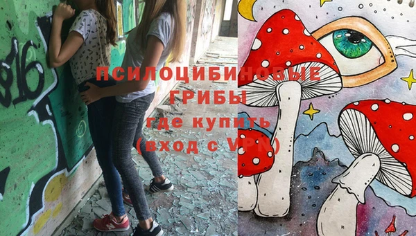 гидра Алзамай