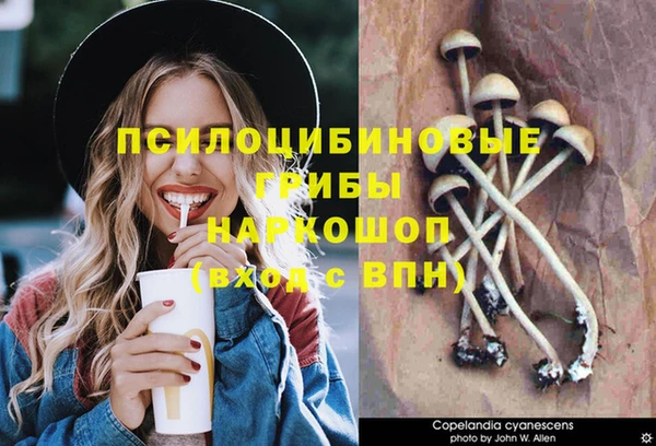 гидра Алзамай