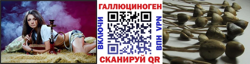 Галлюциногенные грибы Psilocybine cubensis  hydra маркетплейс  Тверь 